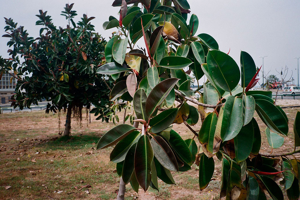 ART-at-Berlin---Courtesy-Robert-Morat-Galerie---Tobias-Kruse---008