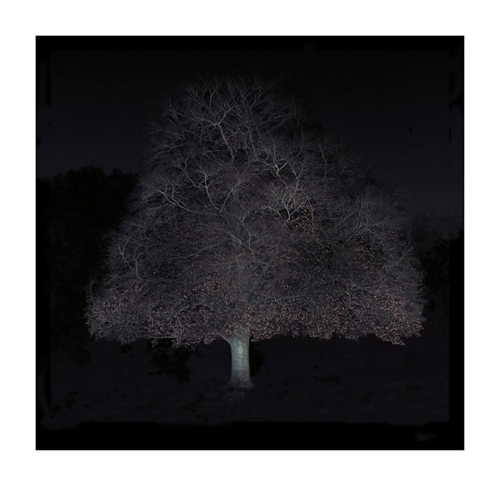 ART-at-Berlin---Courtesy-of-Galerie-Martin-Mertens-Ralf-Peters