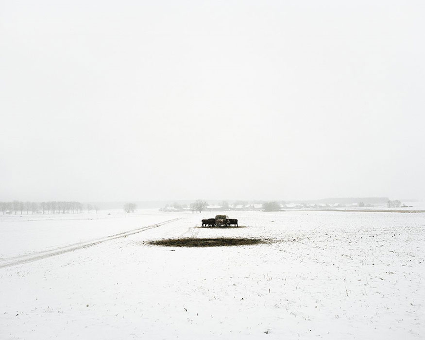 ART-at-Berlin---Courtesy-of-Robert-Morat-Galerie---Hans-Christian-Schink---Bei-Groß-Briesen-2012