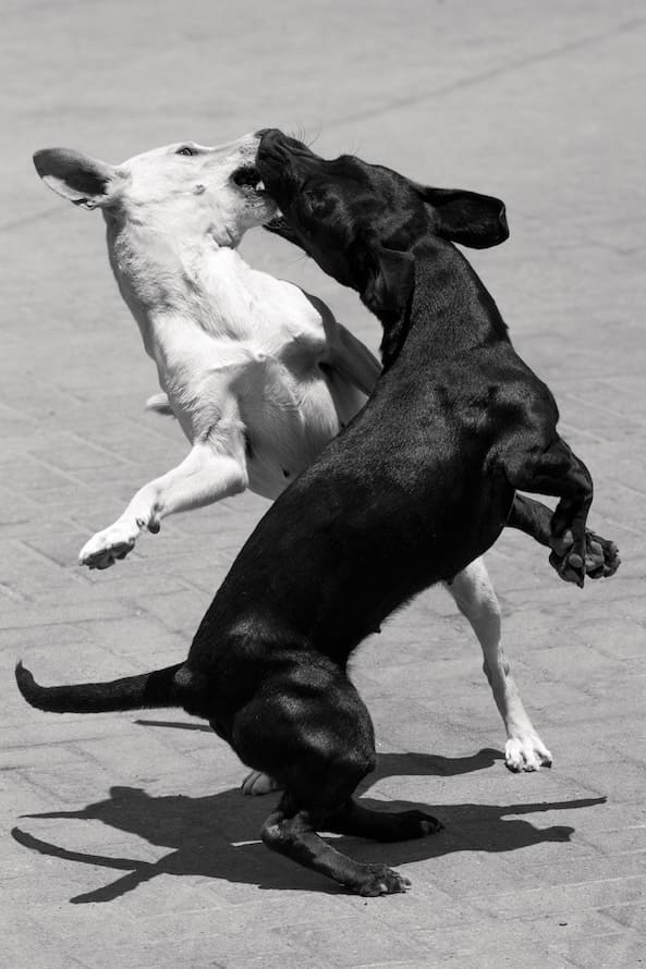 ART at Berlin-Galerie Robert Morat-Joerg Brueggemann no5