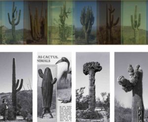 ART at Berlin - Grimmuseum - kunst - ausstellung - Elise Florenty + Marcel Tuerkowksy