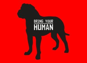 art-at-berlin-fotoshooting-mit-klassenfeind-gallery-doggyssage-neu