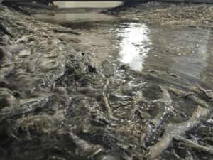 ART at Berlin - Konrad Fischer Berlin - Kunst - Ausstellung - Cristina Iglesias