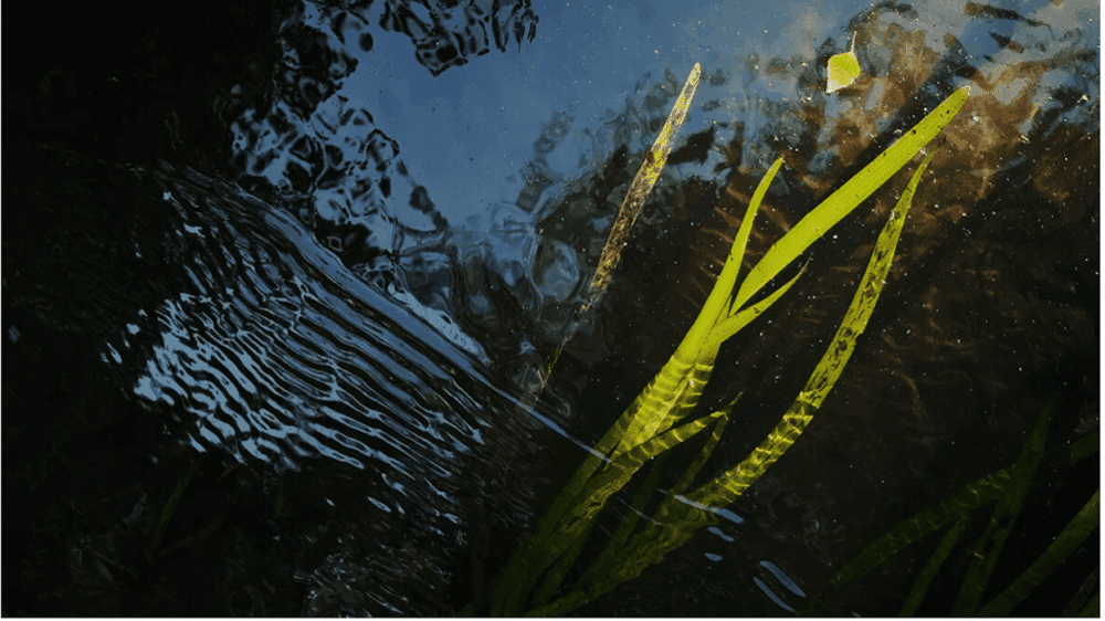 ART at Berlin-Luisa Catucci-Tom Kretschmer