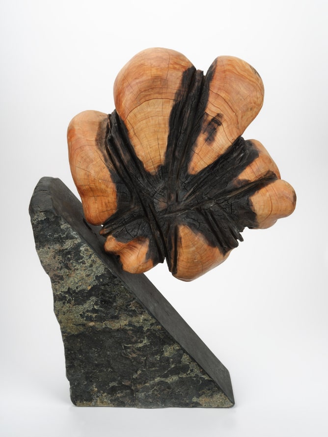 ART at Berlin - SCHMALFUSS BERLIN - Reinhard Fescharek - Einschnürungen