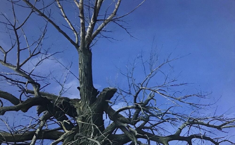 ART-at-Berlin-Schmalfuss