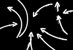 ART at Berlin Kunst in Berlin - Thomas Schulte - Alfredo Jaar