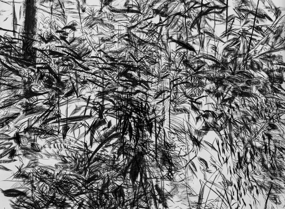 ARTatBerlin - DittrichundSchlechtriem - Haley Mellin - Biodiversity and Betadiversity - 4