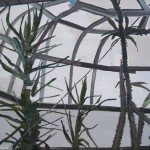 ARTatBerlin –Kunst in Berlin ART Kunst Kunsthandwerk aus Berlin Galerie cubus-m - Johanna Silbermann - Palmen