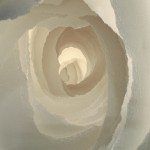 ARTatBerlin – Kunst in Berlin ART Kunsthandwerk aus Berlin Wichtendahl Deutsch_2012 Glajcar_Terforation_Detail