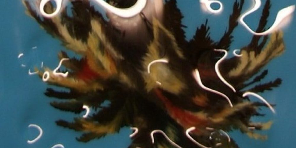 Gildas Coudrais | HEAT | 68 projects | 28.07.-03.09.2016