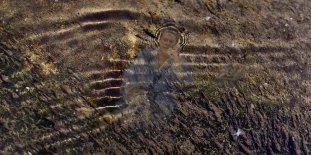 Ruth Nemet | Political Moonlight | BQ Berlin | 12.11.–17.12.2016