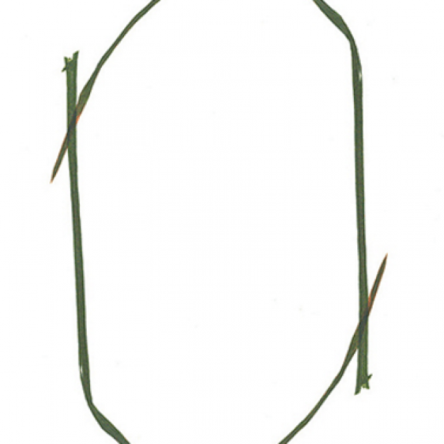 Eva-Fiore Kovacovsky | Agrarian Magic | Baeckerei | 30.09.-23.12.2017