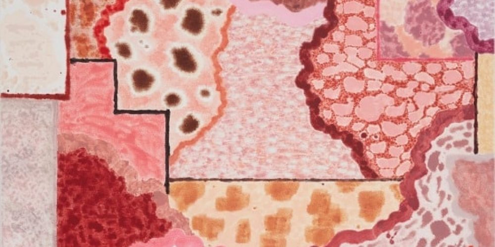 Rebecca Morris | II Gattopardo | Galerie Barbara Weiss | 29.04.-17.06.2017