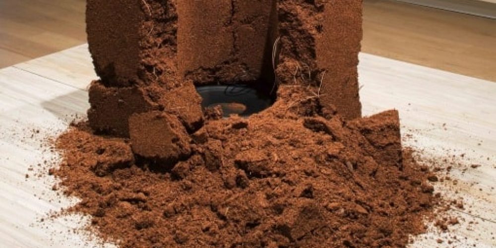 Michael Joo | Simultaneity Biases | BLAIN|SOUTHERN | 20.01.-24.02.2018