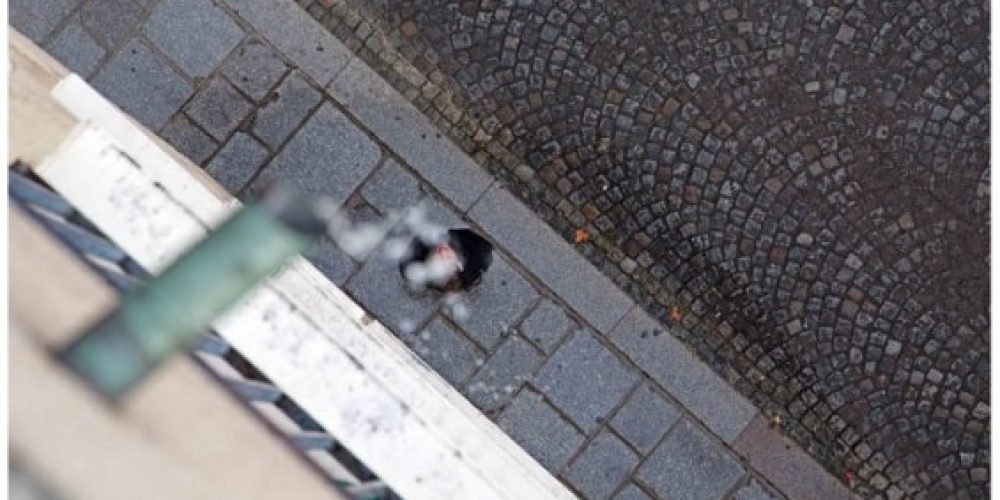 Simon Pfeffel | handeln ist sterben lernen | galerie burster | 23.06.–12.08.2017