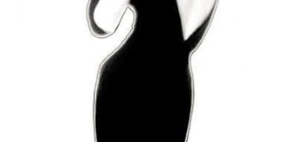 Lillian Bassman | CAMERA WORK | 21.01.-25.03.2017