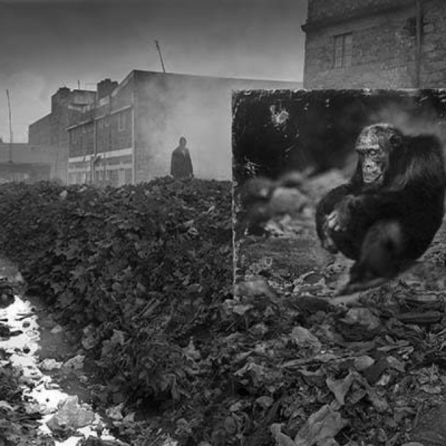 Nick Brandt | Inherit the Dust | CAMERA WORK | 14.05.-09.07.2016