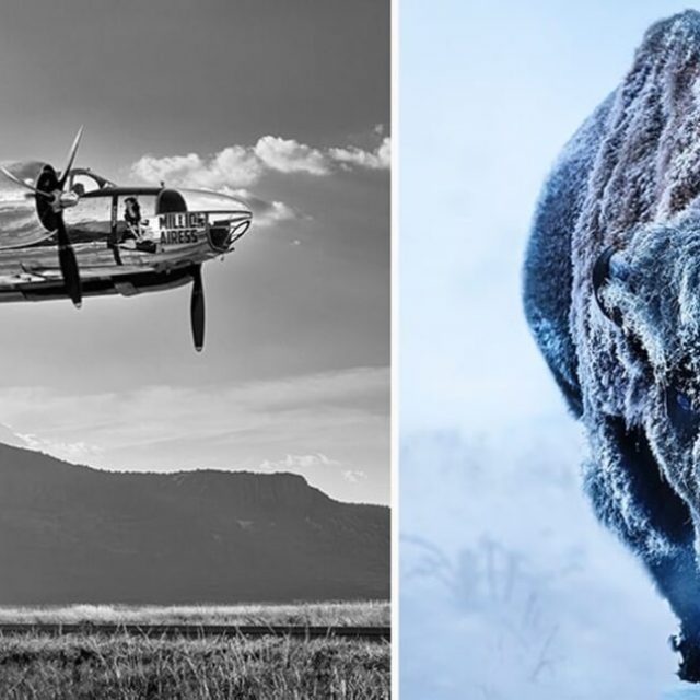 David Yarrow | CAMERA WORK | 22.11.2025-24.01.2026