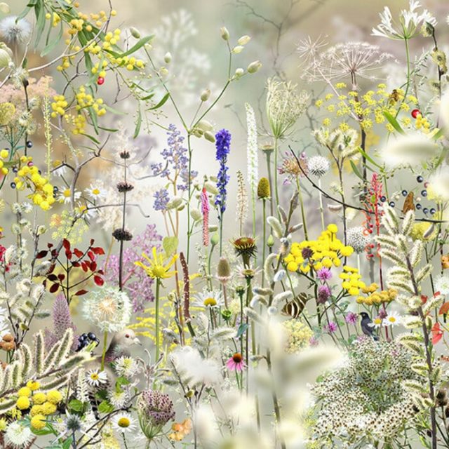 Ruud van Empel | CAMERA WORK | 07.06-19.07.2025