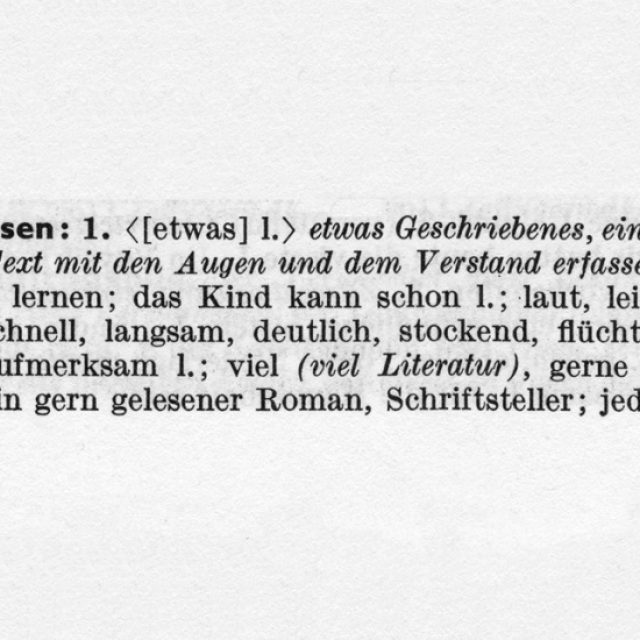 Daniela Comani + Carlo Battisti | lesen | drj art projects | 13.02.-21.03.2020 – extended until 13.06.2020