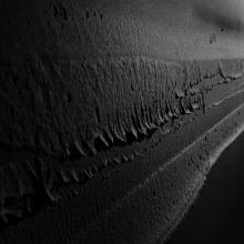 GENESIS | Group Show | Bermel von Luxburg Gallery | 18.03.-08.05.2021