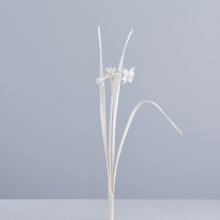 EQUILIBRIUM | Group Show | Bermel von Luxburg Gallery | 11.09-14.11.2020