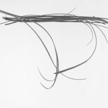A Space full of Drawings and a Drawing in Space | Daniel Marzona | 05.06.–25.07.2020