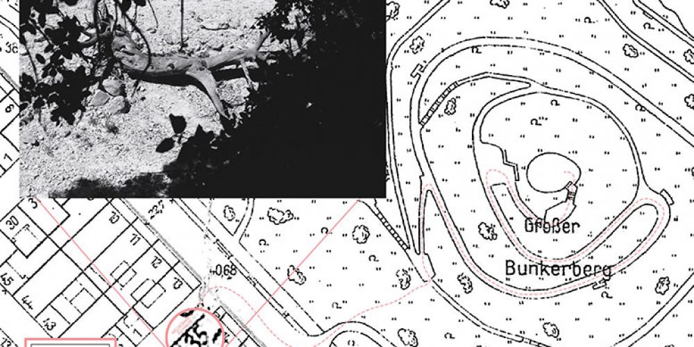 shadow play | East of Elsewhere + Volkspark Friedrichshain | 22.08.2018