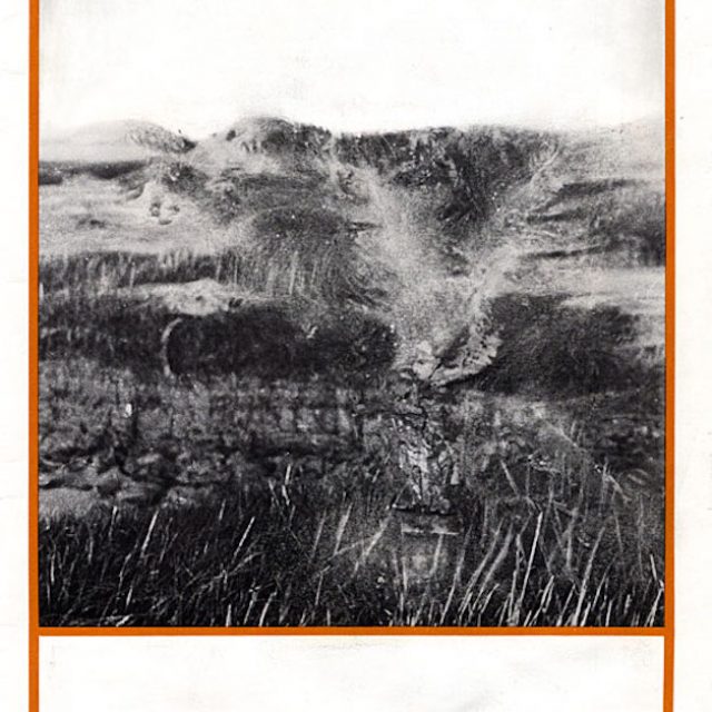 BACK TO EARTH! | Group exhibition | Laura Mars Gallery | 24.08.-02.10.2020