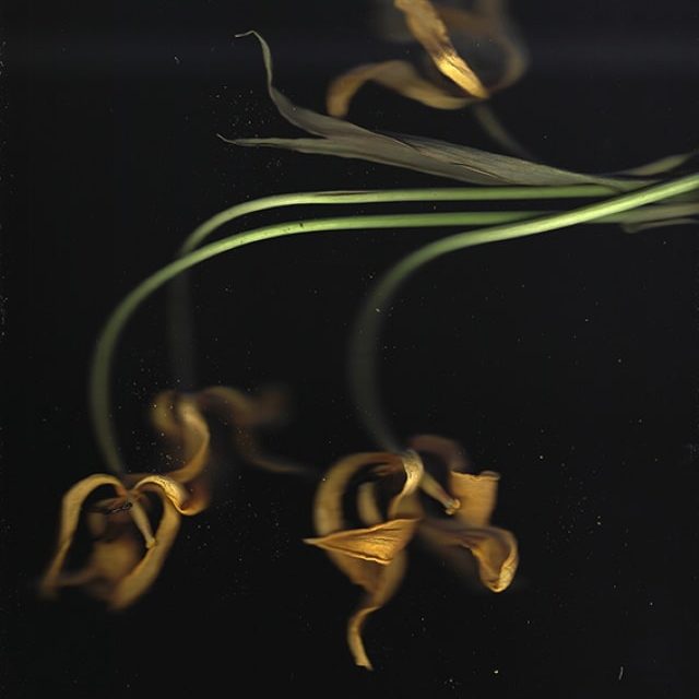 THROUGH THE LOOKING GLASS | Luisa Catucci Gallery | 01.02.-31.03.2021