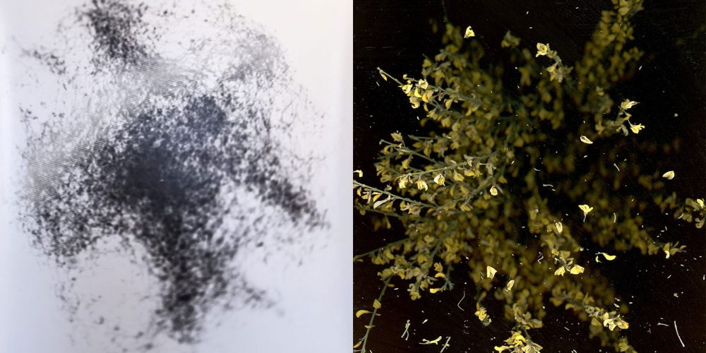 Antti Pussinen + Mathilde Nardone | Céci n‘ est pas une Photo | Luisa Catucci Gallery | 06.03.-04.05.2020