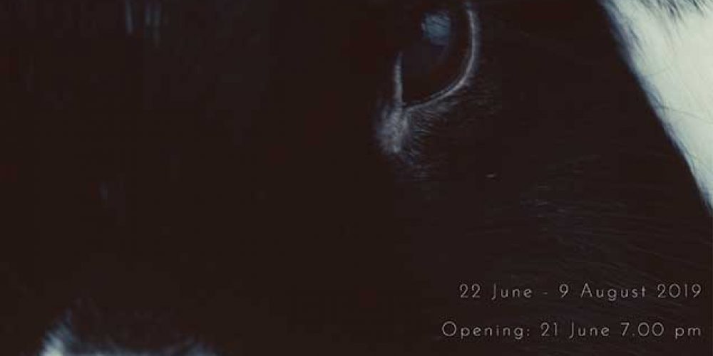 Michal Martychowiec | Winter kept us warm | Migrant Bird Space | 22.06.-09.08.2019