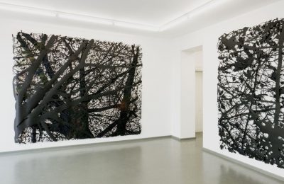 Heike Weber, scrub, 2015, © Rasche Ripken, Heike Weber