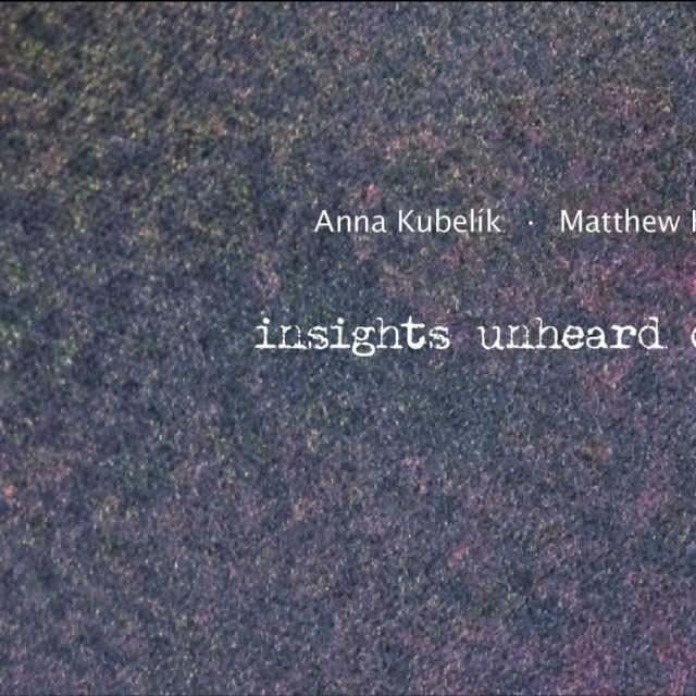 Anna Kubelík + Matthew Hawtin | insights unheard of … | drj art projects | December 2020 – March 2021