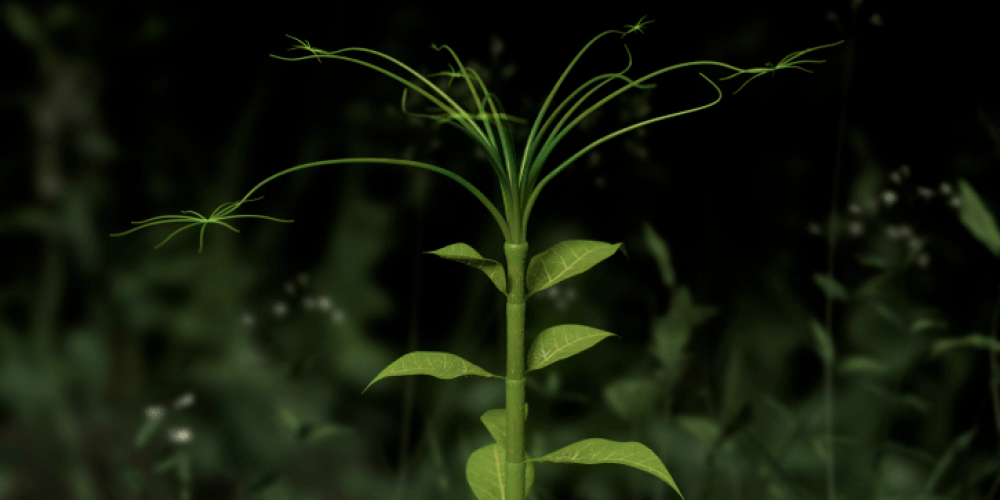 Eelco Brand | ELECTROPIA | DAM Gallery Berlin | 08.04.–09.06.2017