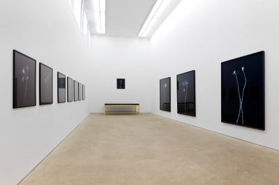 Daniel Marzona (geschlossen)