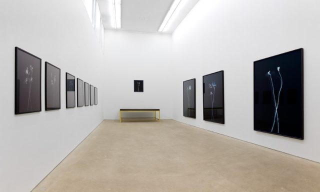 Daniel Marzona (geschlossen)