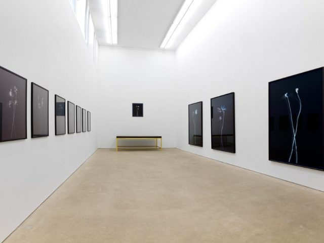 Daniel Marzona (geschlossen)