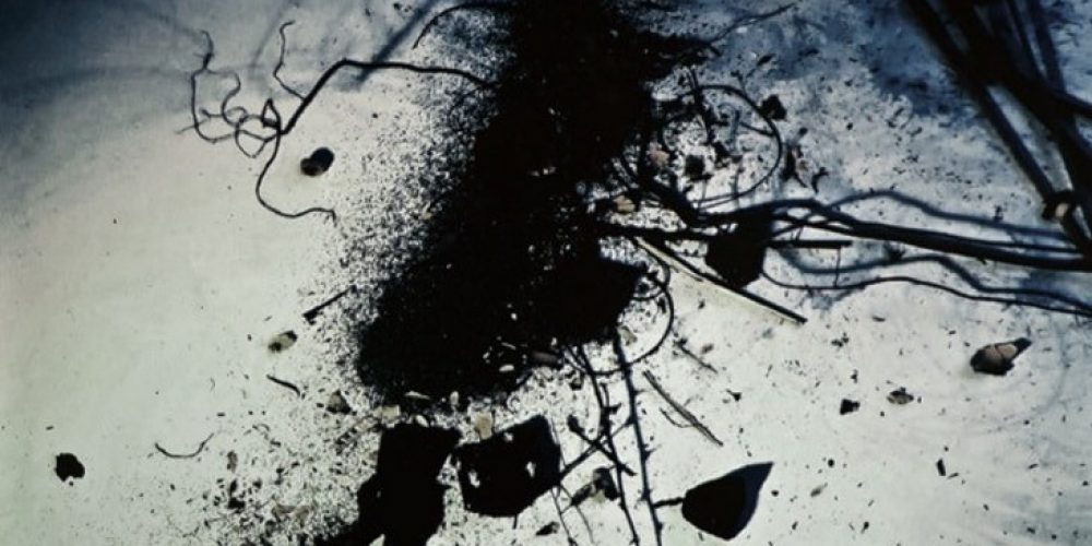 Yehudit Sasportas | Rifts of Absence | Villa Schöningen, Potsdam | Galerie EIGEN + ART Berlin | 09.03.-05.06.2017