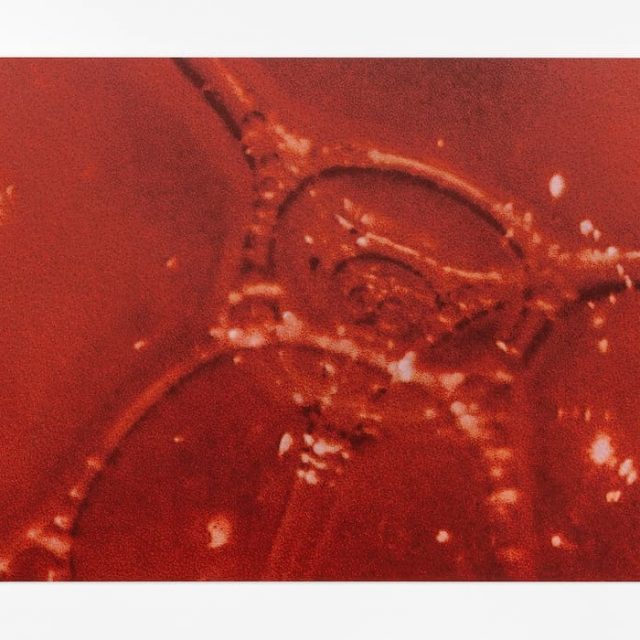 Tauba Auerbach | Easy Assembly | Esther Schipper | 01.05.–20.06.2026