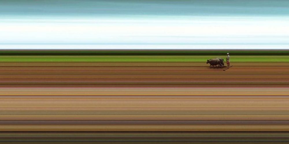 Jay Mark Johnson | SIDESHOW SIEM REAP | Galerie Deschler | 09.09.-05.11.2016