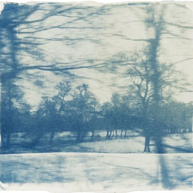 Katja Liebmann | Beyond Photography | Galerie Dittmar | 01.05.–20.06.2026