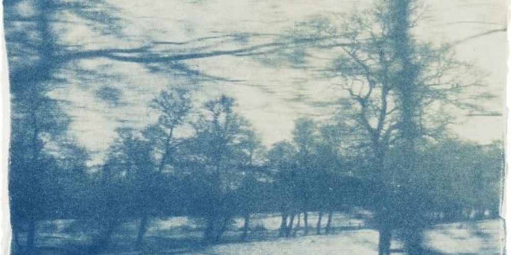 Katja Liebmann | Beyond Photography | Galerie Dittmar | 01.05.–20.06.2026