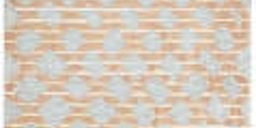 Nora Schattauer | Galerie Dittmar | 21.02.–18.04.2026