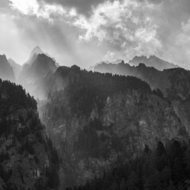 Ute Schendel | One-single-artwork-show #7 | Galerie Gilla Lörcher | 15.12.-21.12.2017