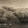 Jinran Kim | After Nature | Galerie Z22 | 01.10. - 17.10.2026