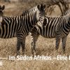 Uwe Schäfer | Im Süden Afrikas | Galerie Z22 | 31.10.-14.11.2026
