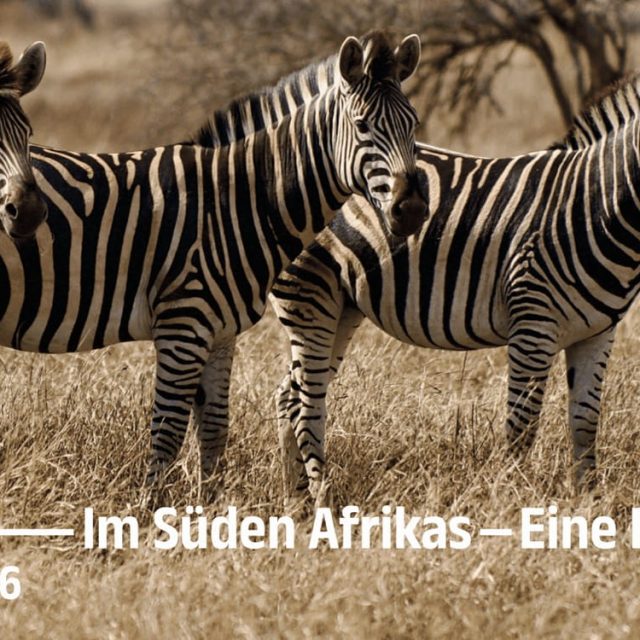 Uwe Schäfer | Im Süden Afrikas | Galerie Z22 | 31.10.-14.11.2026