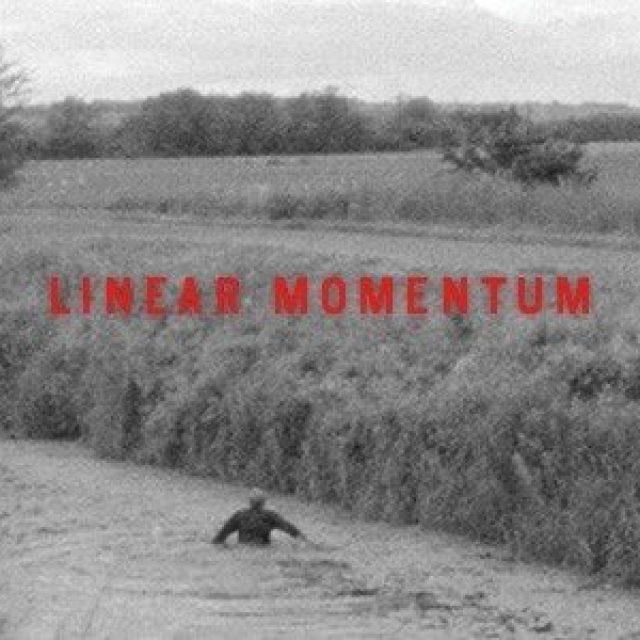 LINEAR MONUMENTUM | Galerie im Körnerpark | 05.11.-22.01.2017